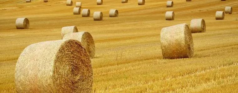 МЗХ започва информационна кампания за субсидиите през 2026 г. - над 1 млрд. евро за директни плащания на земеделците