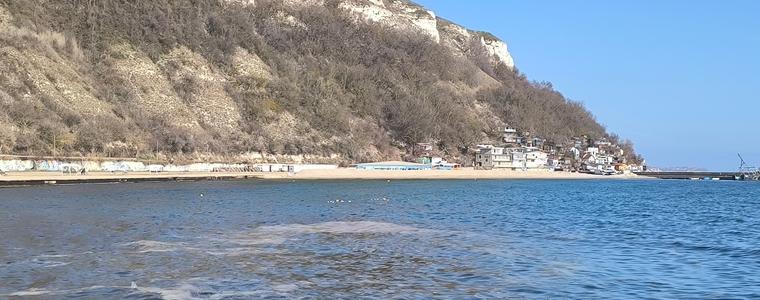 Няма замърсяване на морето, което да е причина за масова смъртност на защитени видове край Шабла 