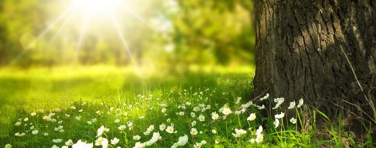 Посрещаме астрономическата пролет