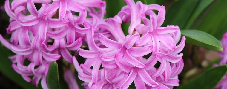 Прогноза за времето в четвъртък, 12 март