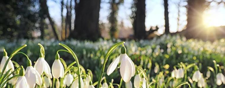 Прогноза за времето в неделя, 15 март