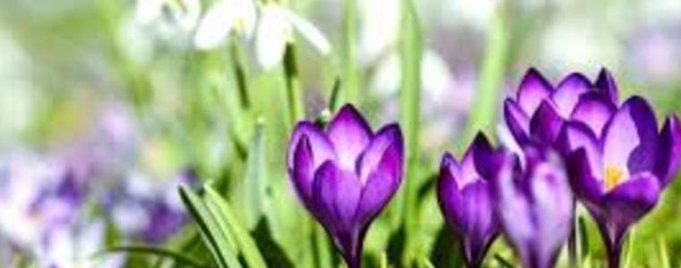 Прогноза за времето в петък, 13 март