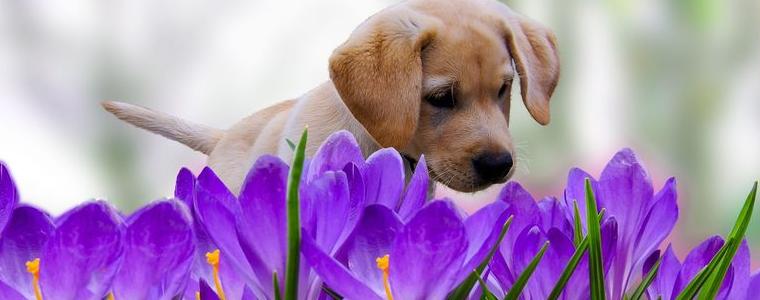 Прогноза за времето в понеделник, 9 март
