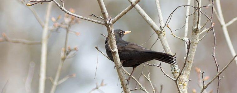 Прогноза за времето във вторник, 10 март