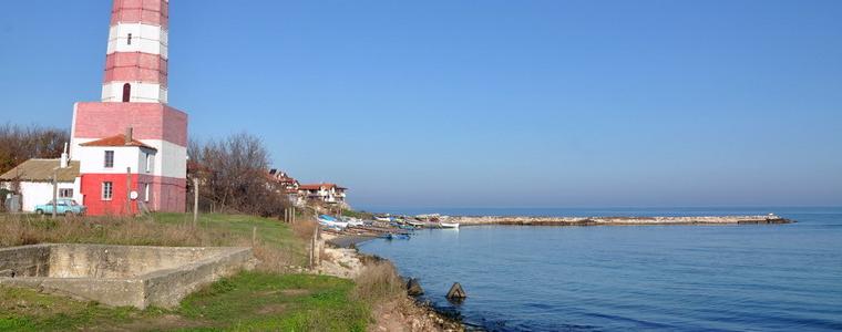 РИОСВ - Варна проверява сигнали за намерени мъртви птици по крайбрежието на Шабла