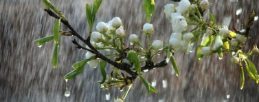 Прогноза за времето в понеделник, 23 март