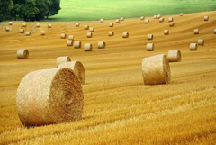 МЗХ започва информационна кампания за субсидиите през 2026 г. - над 1 млрд. евро за директни плащания на земеделците