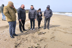 Областният управител извърши оглед на мястото в Шабла, където бе бяха намерени мъртви птици