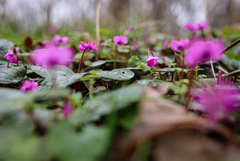 Прогноза за времето на 8 март