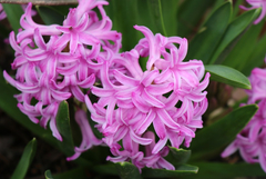 Прогноза за времето в четвъртък, 12 март