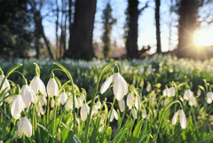 Прогноза за времето в неделя, 15 март