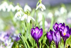 Прогноза за времето в петък, 13 март