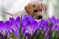 Прогноза за времето в понеделник, 9 март