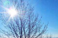 Прогноза за времето в събота, 14 март