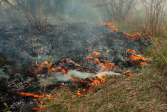 РД ПБЗН – Добрич предупреждава: С настъпването на пролетта се повишава рискът от пожари