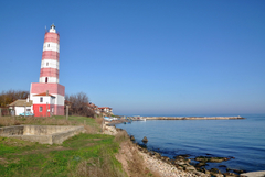 РИОСВ - Варна проверява сигнали за намерени мъртви птици по крайбрежието на Шабла