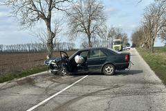 Водач с 1,80 промила алкохол се заби с колата си в крайпътно дърво по пътя за Крушари