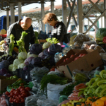 Цени на храните на едро: Плодовете поскъпват през седмицата у нас