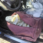 Мащабна акция в област Добрич за противодействие на престъпления срещу изборните права