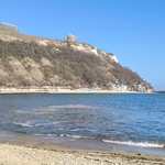 Няма замърсяване на морето, което да е причина за масова смъртност на защитени видове край Шабла 