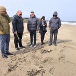 Областният управител извърши оглед на мястото в Шабла, където бе бяха намерени мъртви птици