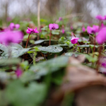 Прогноза за 8 март