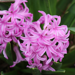 Прогноза за времето в четвъртък, 12 март