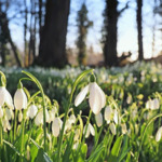 Прогноза за времето в неделя, 15 март