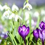 Прогноза за времето в петък, 13 март