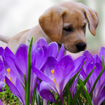 Прогноза за времето в понеделник, 9 март