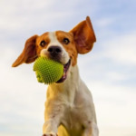 Прогноза за времето в събота, 14 март