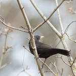 Прогноза за времето във вторник, 10 март