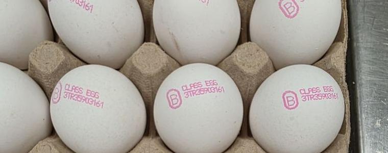 БАБХ върна почти 1,3 милиона яйца в Турция