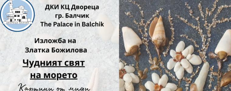 „Чудният свят на морето“ - изложба на Златка Божилова в Двореца