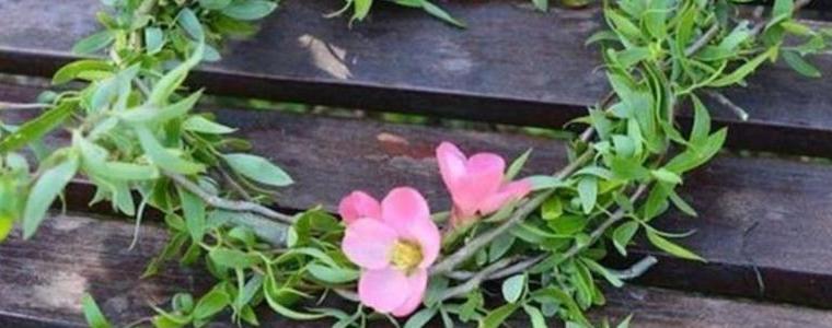 Прогноза от Цветница до Великден