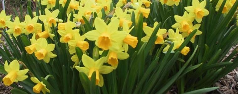 Прогноза за времето на 11 април