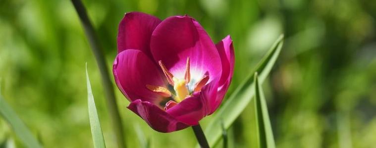 Прогноза за времето на 26 април 