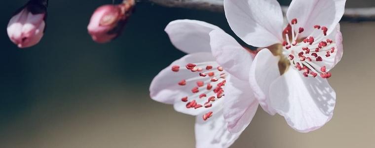 Прогноза за времето в неделя, 19 април