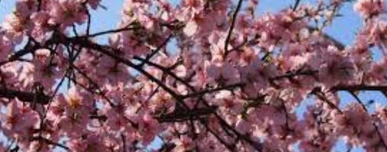 Прогноза за времето в понеделник, 6 април