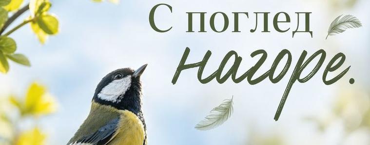 Събитие за наблюдение на птици ще се проведе днес в зооцентъра в Добрич