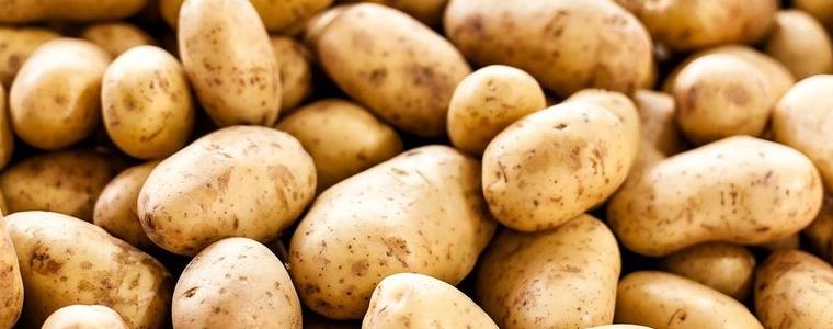 За 5 г. картофопроизводството е намаляло с над 100 хил. тона