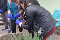 Гимназистите  от  ПГТОЛП в Добрич отбелязаха Деня на Земята 