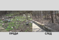 Микросметище в Добрич изчезна за 24 часа, но проблемът остава (ВИДЕО)