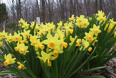 Прогноза за времето на 11 април