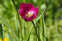 Прогноза за времето на 26 април 