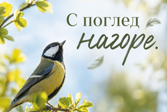 Събитие за наблюдение на птици ще се проведе днес в зооцентъра в Добрич