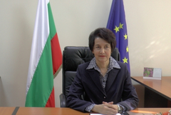 Запалиха къщата на бившия кмет на Добрич Детелина Николова