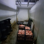 БАБХ не допусна до пазара над 10 тона месо в Свищов