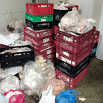 БАБХ затвори още две кланици 