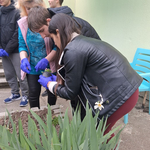 Гимназистите  от  ПГТОЛП в Добрич отбелязаха Деня на Земята 